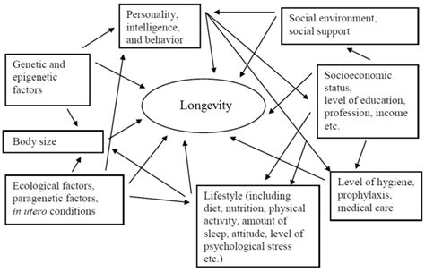 Factors Contributing to Longevity